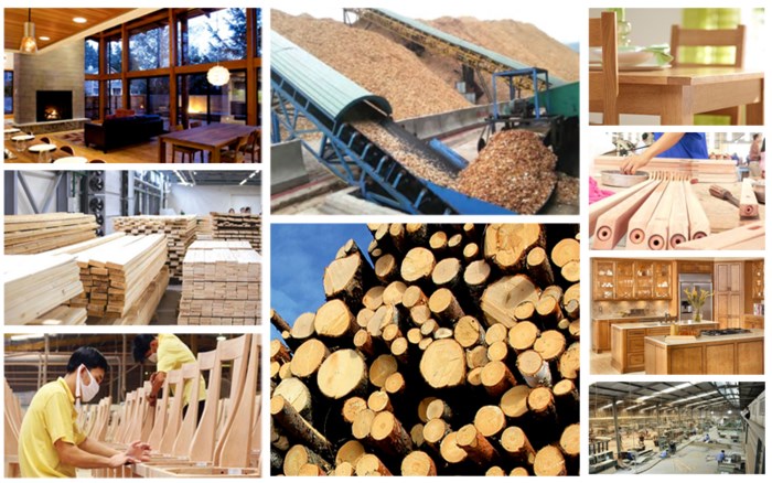 Phát triển ngành chế biến gỗ, lâm sản XK thành ngành kinh tế mũi nhọn