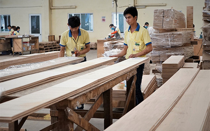 Mỹ tiến hành điều tra lẩn tránh thuế đối với gỗ dán Việt Nam?