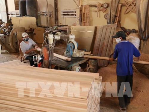 Ngành gỗ Việt Nam: Chưa khai thác hết thị trường nội địa