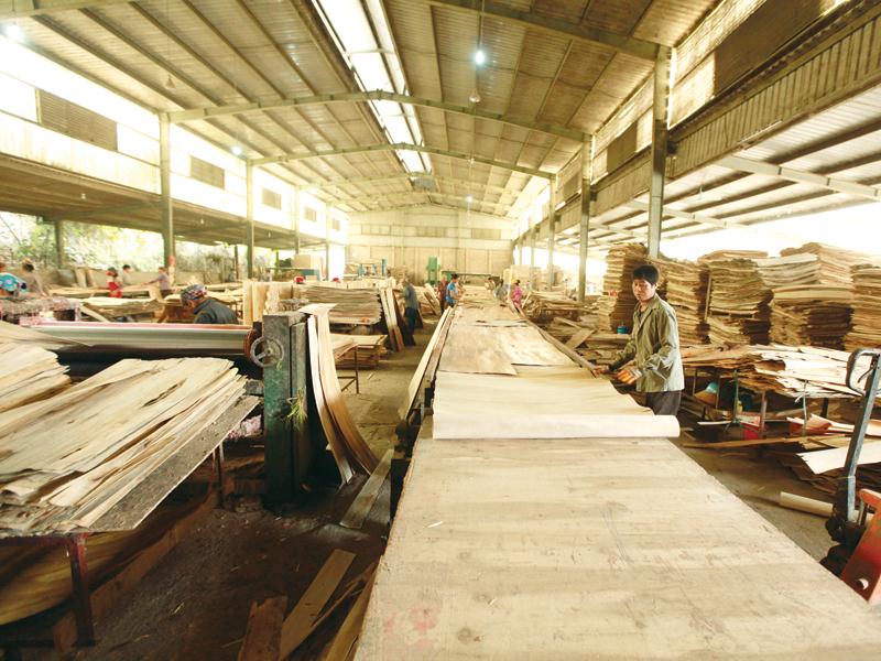 Ngành gỗ kỳ vọng vào thị trường EU