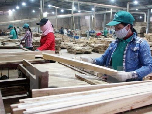 Sử dụng gỗ hợp pháp là "sống còn" với doanh nghiệp xuất khẩu