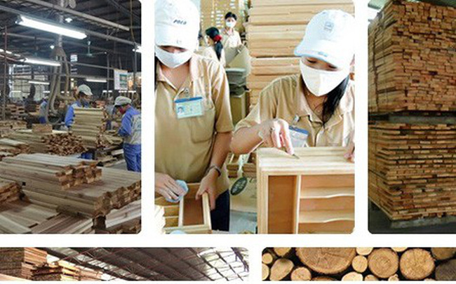 Vào CPTPP, doanh nghiệp gỗ Việt phải thay đổi tư duy kiếm tiền