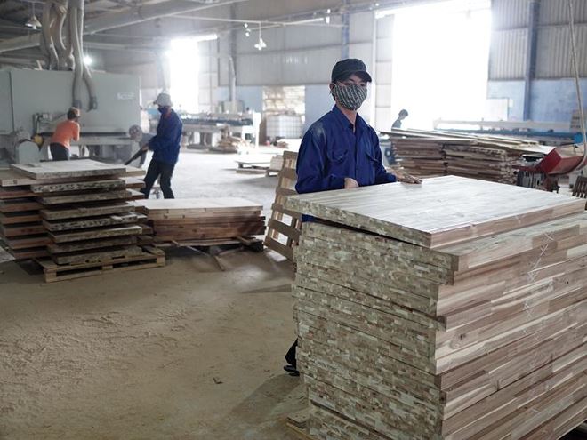 Ngành công nghiệp chế biến gỗ và lâm sản: Hướng đến sử dụng gỗ rừng trồng