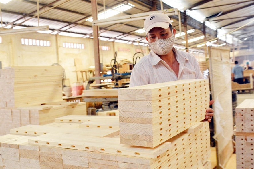 Việt Nam sẵn sàng vì "một ngành gỗ nói không với gỗ bất hợp pháp"