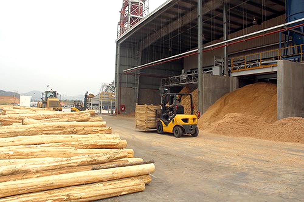 Nghệ An: Đưa công nghiệp chế biến gỗ thành ngành kinh tế mũi nhọn