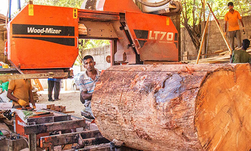 Sri Lanka cấm máy cưa, đóng cửa nhà máy gỗ để bảo vệ rừng