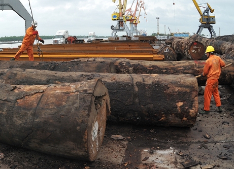 Việt Nam chi 173 triệu USD nhập khẩu gỗ từ châu Phi