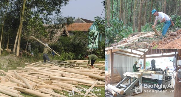Cơ hội cho ngành gỗ từ Hiệp định thương mại tự do Việt Nam - EU