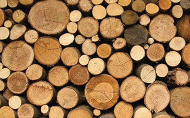 Giảm nhập khẩu gỗ tròn, Việt Nam tăng tiêu thụ đến 50% lượng gỗ xẻ từ châu Phi