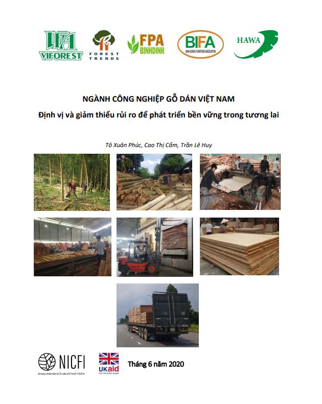 Báo cáo Ngành công nghiệp Gỗ dán Việt Nam: Định vị và giảm thiểu rủi ro để phát triển bền vững trong tương lai