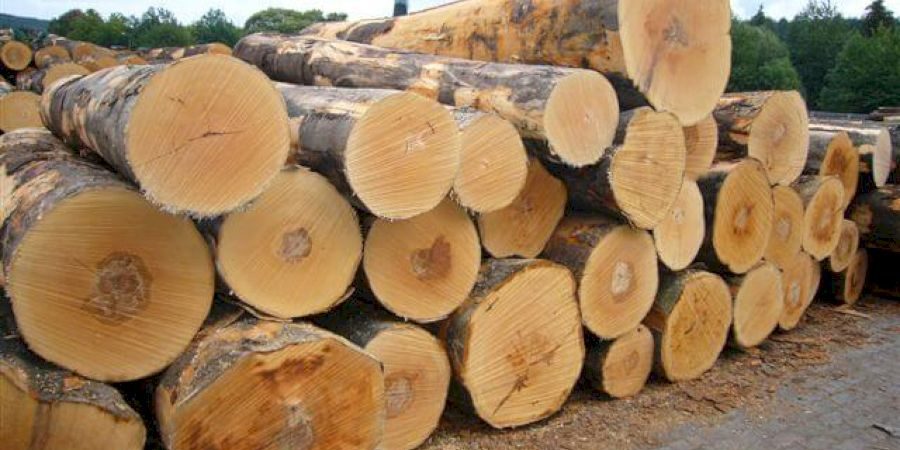 Vượt mặt Trung Quốc và Mỹ, đồ nội thất gỗ Việt Nam tăng mạnh xuất khẩu vào Canada
