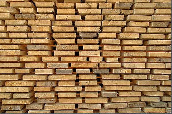 COVID-19 giúp giá gỗ xẻ lên cao kỉ lục tại Mỹ