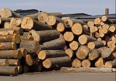 Nghị định số 102/2020/NĐ-CP quy định Hệ thống bảo đảm gỗ hợp pháp Việt Nam. Trong đó, Nghị định quy định rõ việc quản lý gỗ xuất – nhập khẩu.