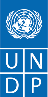HỖ TRỢ THỰC HIỆN NGHIÊN CỨU CỦA UNDP VIỆT NAM