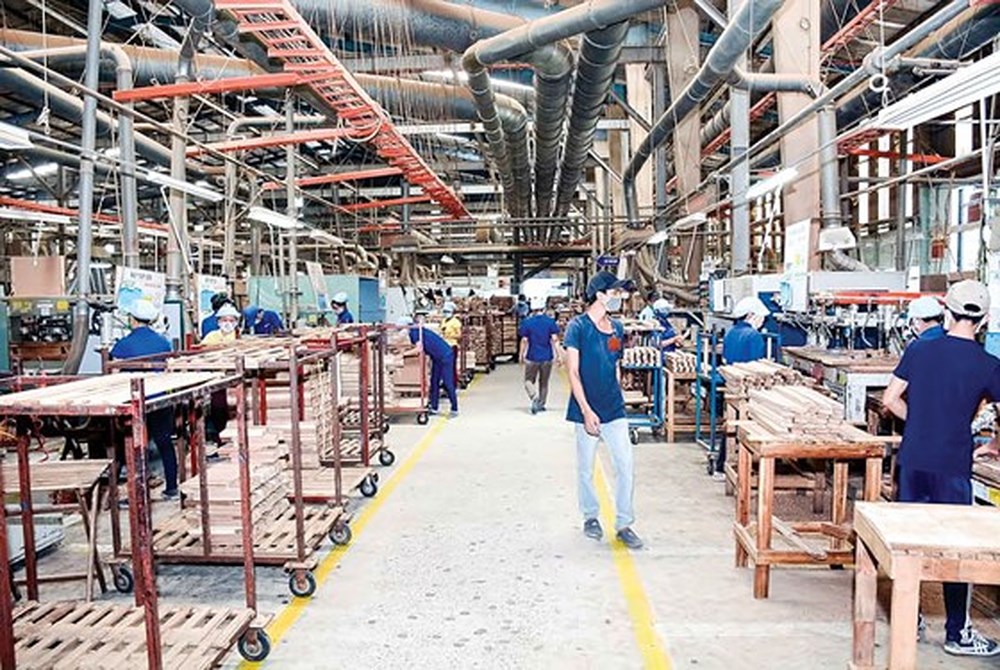 Gỗ xuất khẩu phải minh bạch xuất xứ