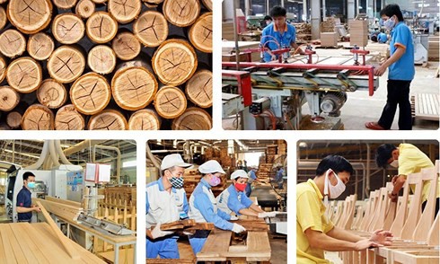 Chiến tranh thương mại Mỹ-Trung tác động mạnh đến ngành gỗ Việt Nam