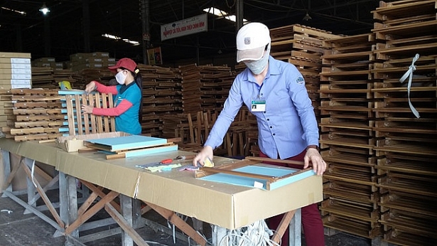 Xuất khẩu gỗ tăng mạnh ở nhiều thị trường
