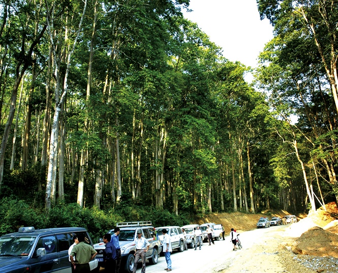 Nghệ An quyết tâm trở thành trung tâm chế biến gỗ