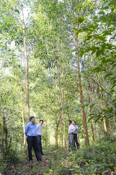 Nguyên liệu chế biến - bài toán khó đã có lời giải