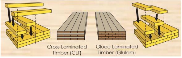 Vật Liệu Mới CLT & Glulam, Tương Lai Của Ngành Gỗ.