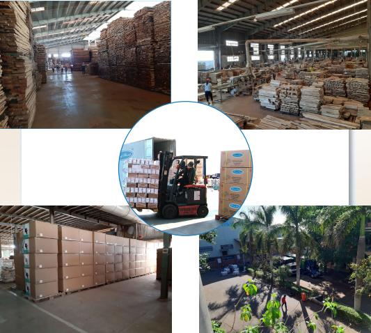 Xuất khẩu vẫn tăng trưởng khả quan, doanh nghiệp gỗ đang sống tốt giữa đại dịch?