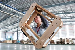 Chuẩn bị cho gỗ Việt vào các thị trường khó tính