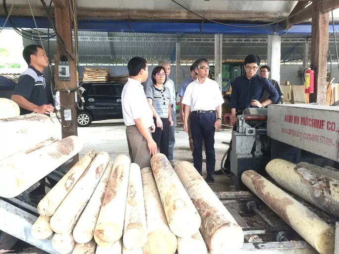 Doanh nghiệp nỗ lực trở lại "đường đua" (*): Ngành gỗ chống đỡ khó khăn
