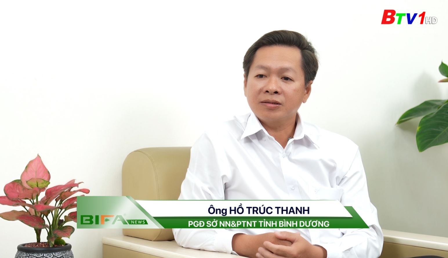 BẢN TIN BIFA "ĐỒNG HÀNH CÙNG NGÀNH GỖ VIỆT" - SỐ PHÁT SÓNG NGÀY 20/08/2023