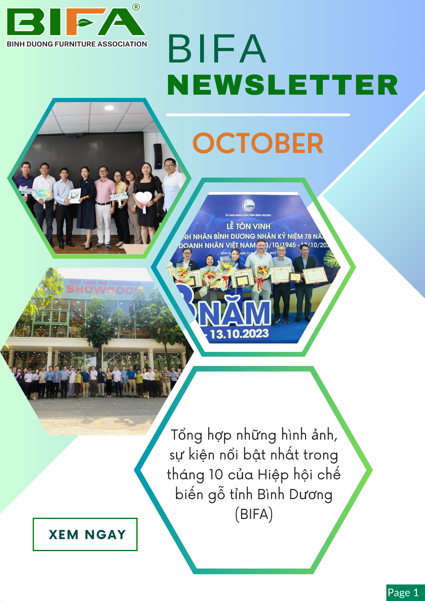 BIFA NEWSLETTER - OCTOBER 2023]