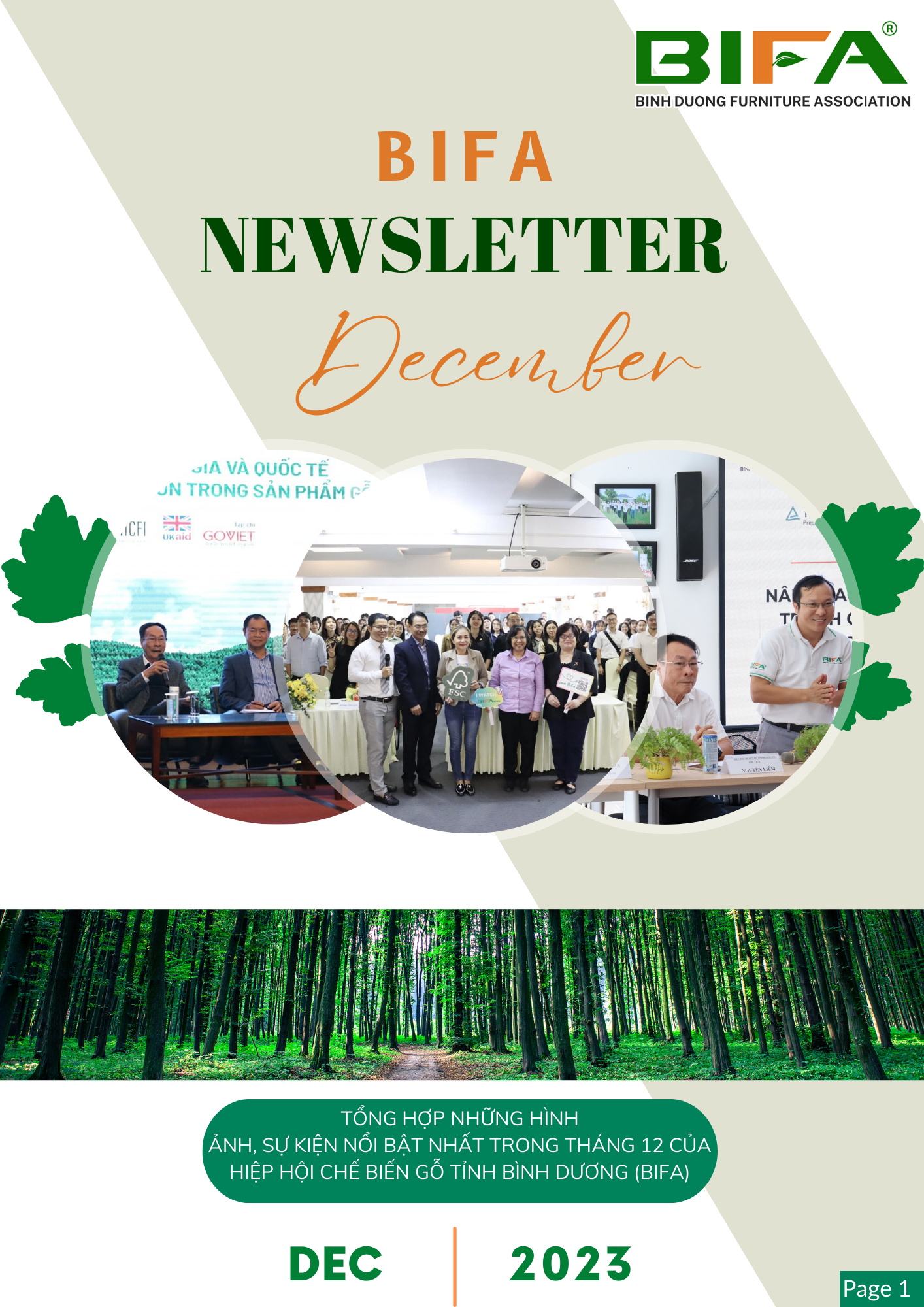 BIFA NEWSLETTER - DECEMBER 2023