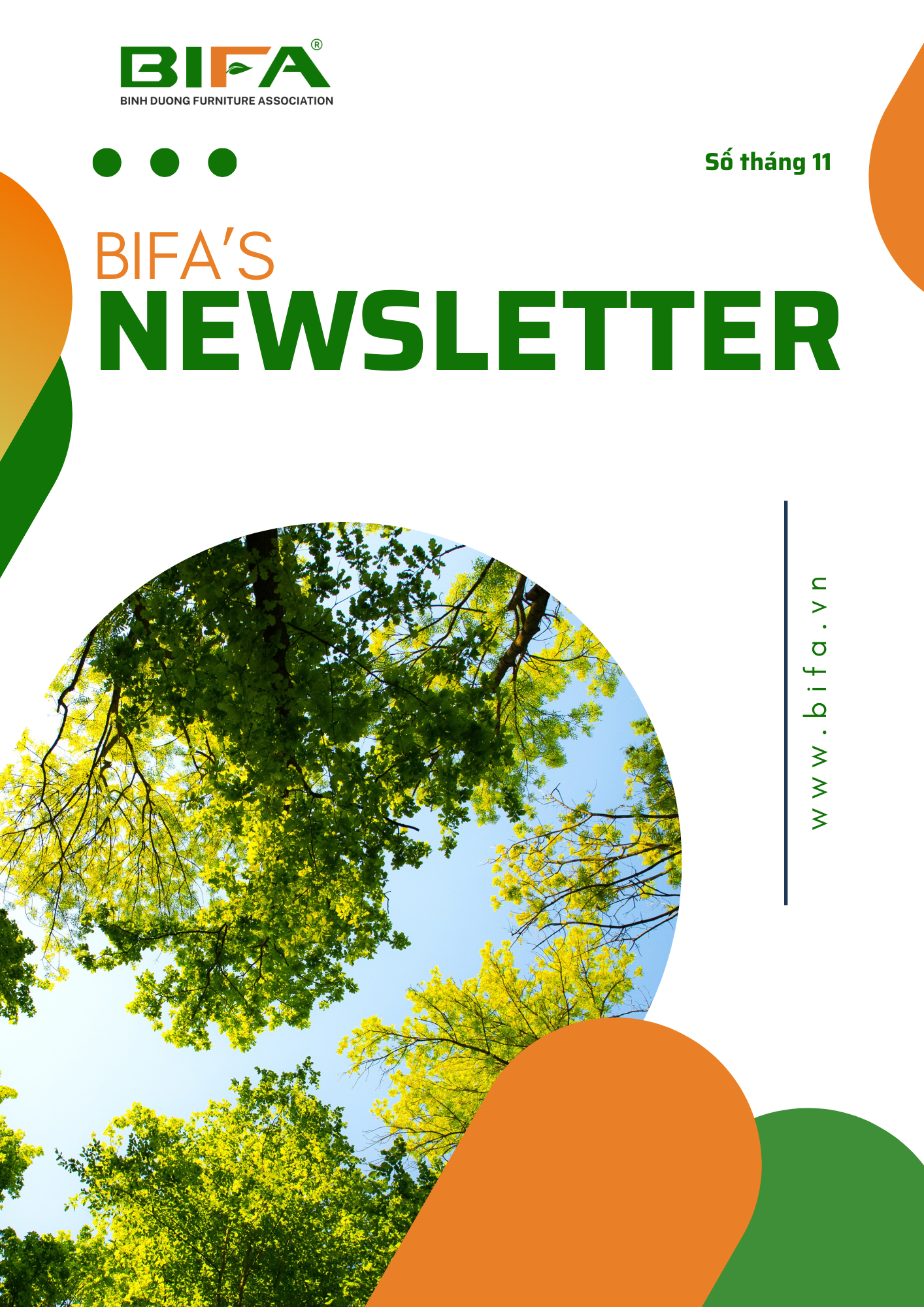 BIFA NEWSLETTER - NOVEMBER 2024